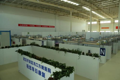 匠心筑路獻(xiàn)華誕，車都集團以工匠精神打造公路工程精品